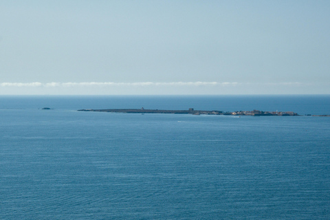 Torrevieja: Local Market and Panoramic Tour