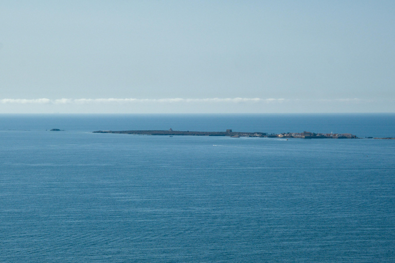 Torrevieja: Local Market and Panoramic Tour