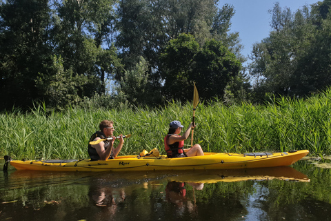 Belgrade: Great War Island Kayak Adventure