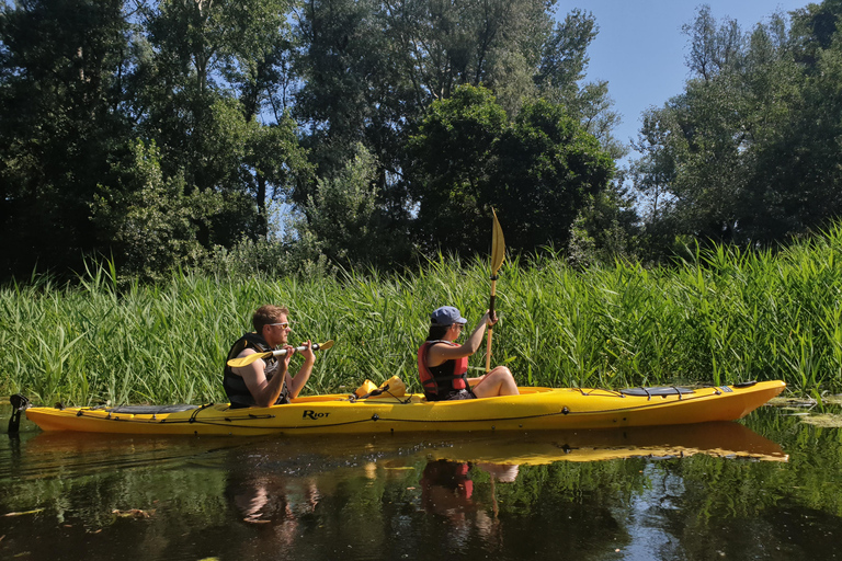 Belgrade : Aventure en kayak sur l'île de la Grande Guerre