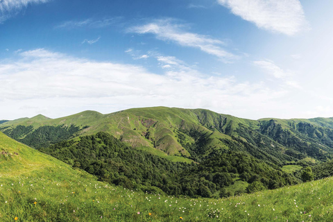 تبليسي: كنيسة مانجليسي سيوني والبحيرة ورحلة نهارية في المنتزه