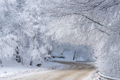 Tbilisi: Sabaduri Forest & Chronicles Tour With Wildlife