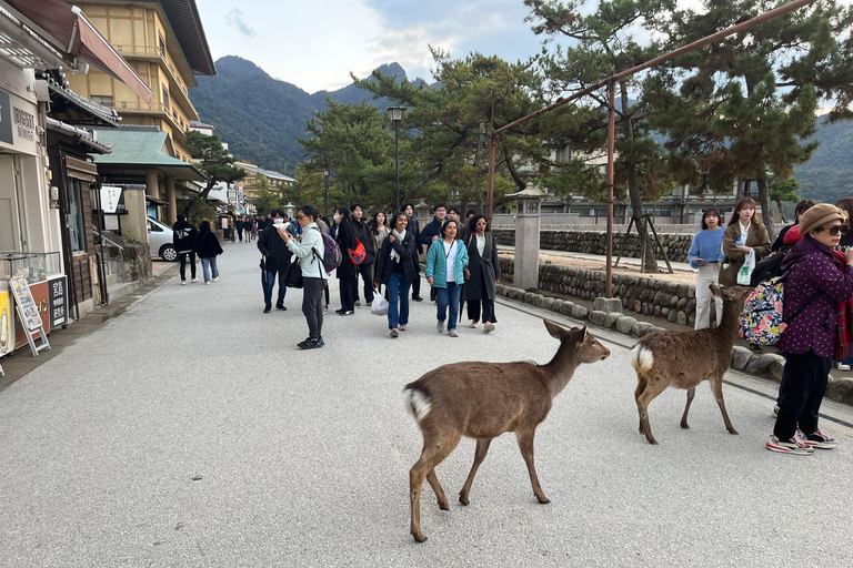 Hiroshima: tour to Peace Memorial Park and Miyajima IslandHiroshima: people with JR Passes or bullet train tickets