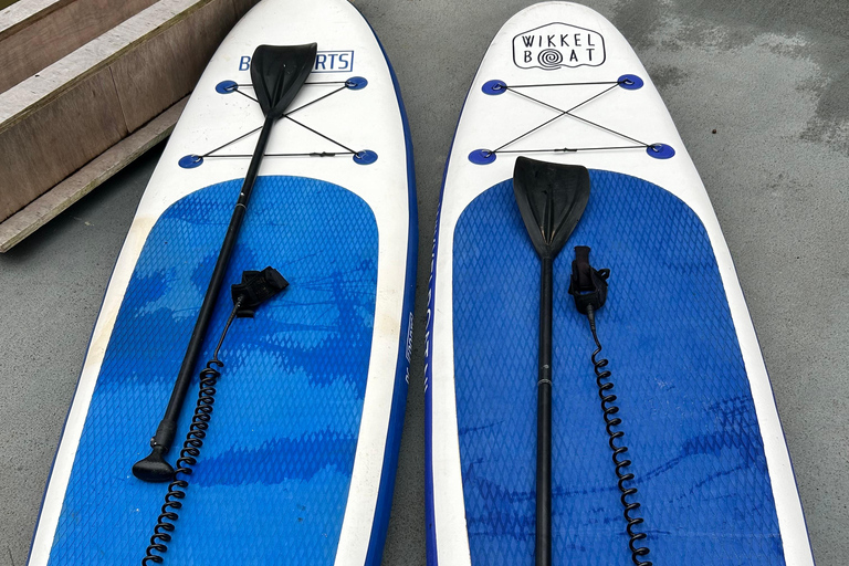 Stand-Up Paddleboarding Experience Rotterdam