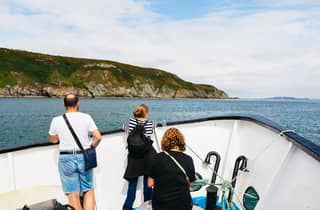 Dublin: Bootsfahrt zu den Klippen und zum Leuchtturm von Howth