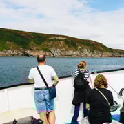 Dublin: Howth Cliffs and Ireland's Eye Coastal Cruise