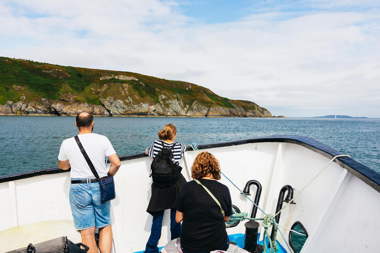 Dublin: Howth Cliffs and Lighthouse Cruise