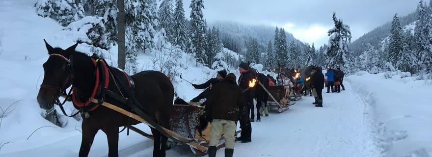 Depuis Cracovie : Promenade en traîneau à Zakopane dans la vallée de Chochołów