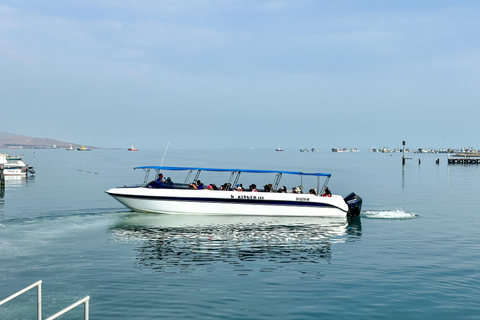 Paracas: Sightseeing Tour of the Ballestas Islands and National Reserve