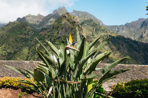 Madeira: dagtrip Skywalk en vulkanische baden in Porto Moniz