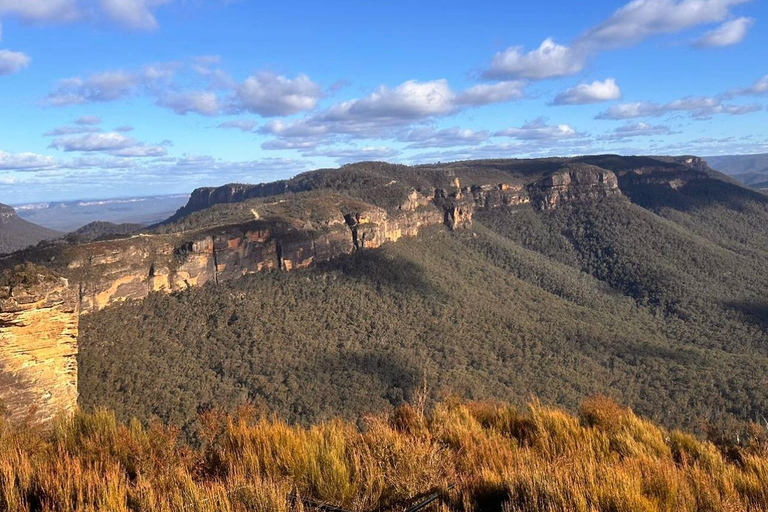 Blue Mountains Tour, Katoomba Falls & Cockatoos Small Group Blue Mountains ：Small Group + Cockatoos & Katoomba Falls&Ja