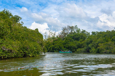 Bentota: Madu River Safari, Turtle Conservation & Beach Day