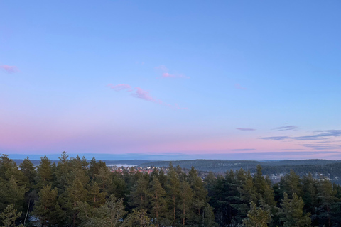 Oslo: Forest Hike with Panoramic Fjord Views and a dog