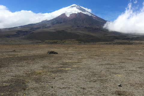 Da Quito: Tour del vulcano Cotopaxi e della laguna di Limpiopungo