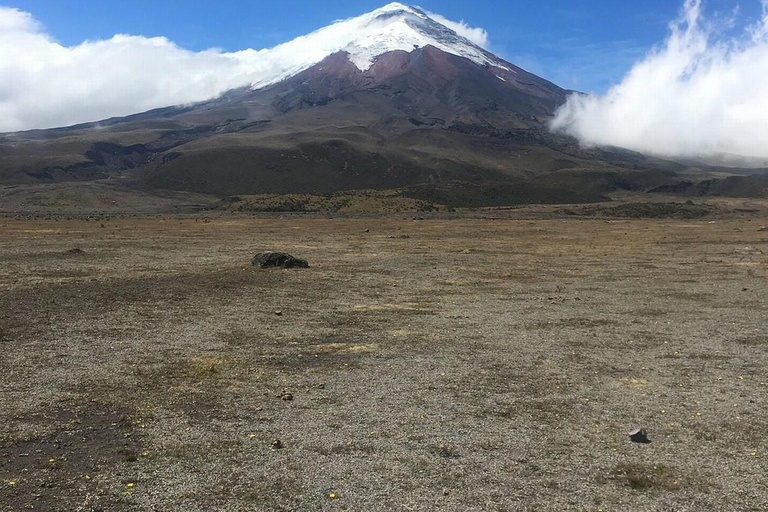 Da Quito: Tour del vulcano Cotopaxi e della laguna di Limpiopungo