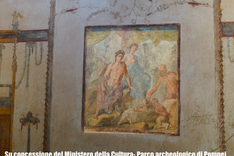 From Sorrento: Pompeii Skip-the-Line, Train Tkt & Tour