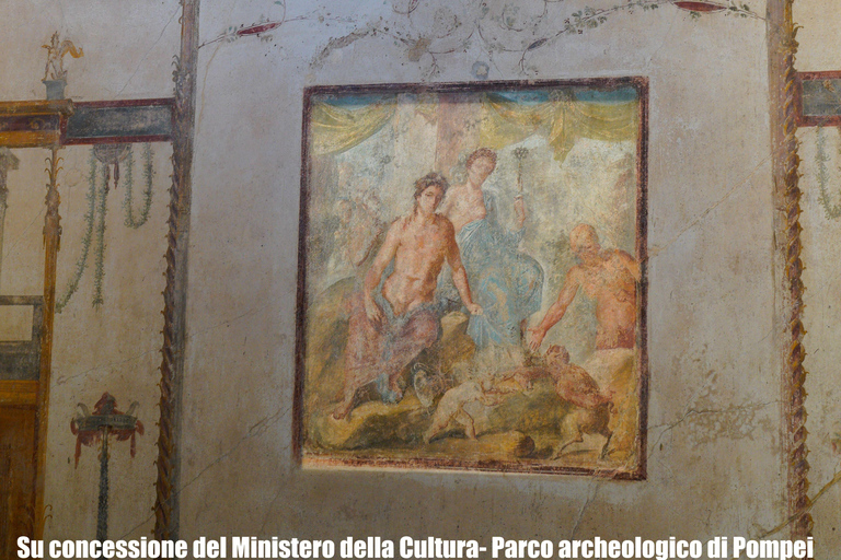 From Sorrento: Pompeii Skip-the-Line, Train Tkt & Tour