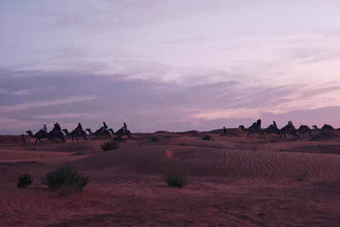 Djerba: Eine Nacht in Berberzelten.