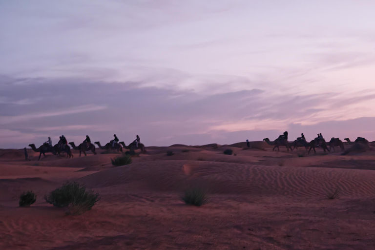 Djerba: Eine Nacht in Berberzelten.