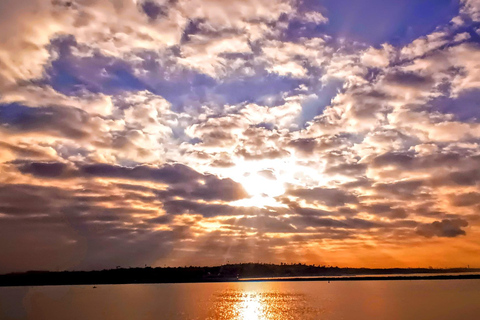 Los Angeles Luxus-Kreuzfahrt mit Wein, Charcuterie und SeelöwenGYG#1 Bootstour mit Wein &amp; Käse oder Überraschungsdinner Option