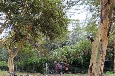 Nairobi: Hell's Gate National Park and Lake Naivasha Tour