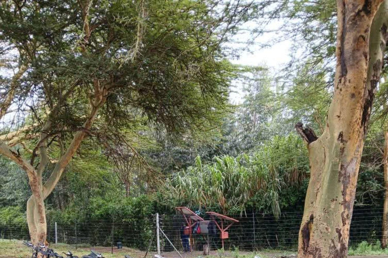 Nairobi: Hell's Gate National Park and Lake Naivasha Tour