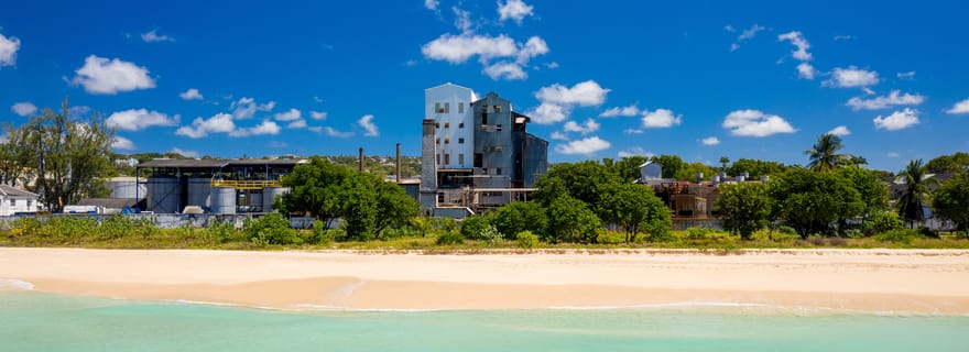 Bridgetown : Visite de la distillerie de rhum Stade's