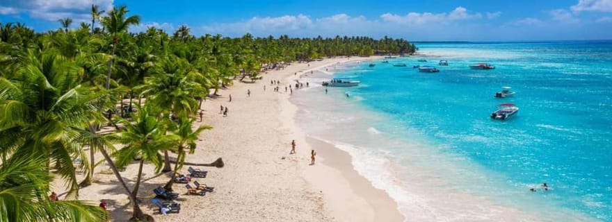 Juan Dolio : excursion d'une journée sur l'île Saona avec déjeuner et open bar