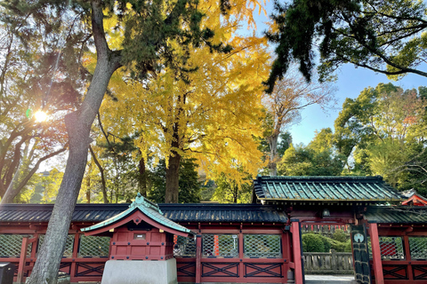 Old and Nostalgic Tokyo: Half-Day Yanaka Walking Tour