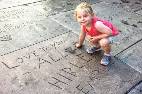 Los Angeles: Private Half Day City Tour