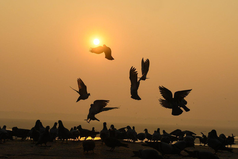 Varanasi: Sunrise Boat Tour & Ghats Experience