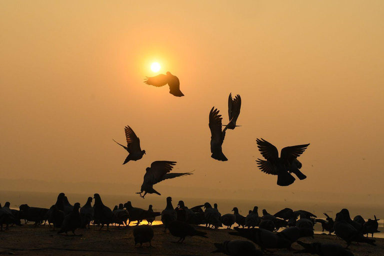 Varanasi: Sunrise Boat Tour & Ghats Experience