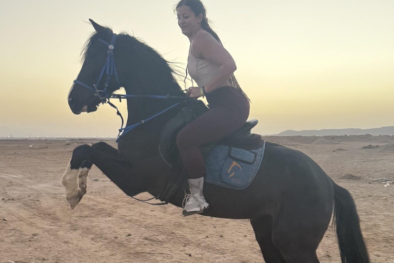 Hurghada: Horse Riding in the Desert & Beach Experience 1 HR Desert Horse Riding Experience without transfer