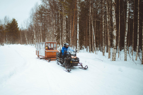 Family Snowmobiling