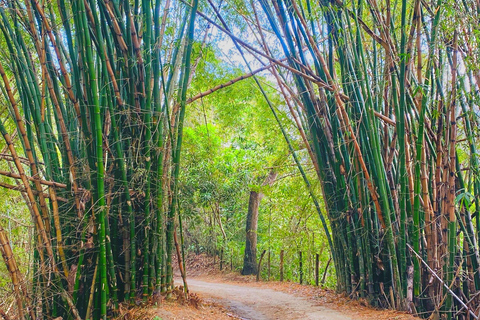 From Santa Marta: Minca and Coffee and Cacao Tour with Lunch Minca Magic and exotic Coffee and Cacao Tour