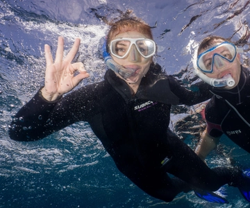 Tenerife: Snorkeling with Turtles and Dolphins
