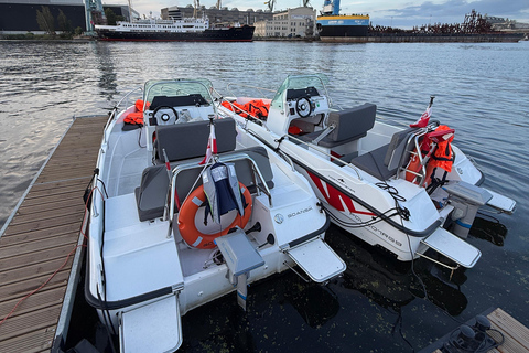 Gdańsk: Private Electric Boat Rental, No License Needed