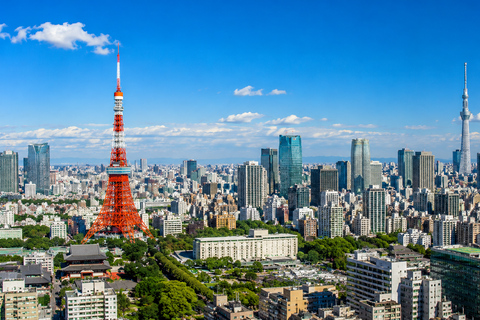 Tokyo: Tokyo Full Day Private Customizable Tour with Guide