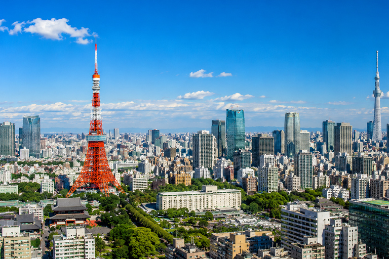 Tokyo: Tokyo Full Day Private Customizable Tour with Guide
