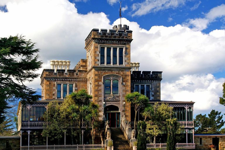 From Port Chalmers: Castle, Coast & City Tour From Port Chalmers: Dunedin City Tour with Larnach Castle