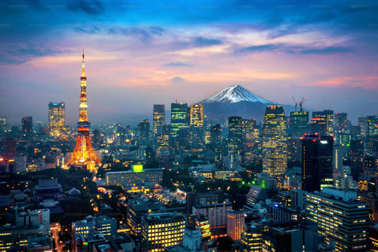 Tokyo: Private Guided Tour with Hotel Pickup and Drop-off