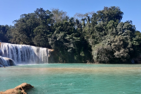 Tuxtla Gutierrez: Agua Azul, Misol Ha & Palenque Experience