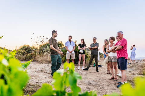 Chania: visite hors route au coucher du soleil avec dégustation de vins