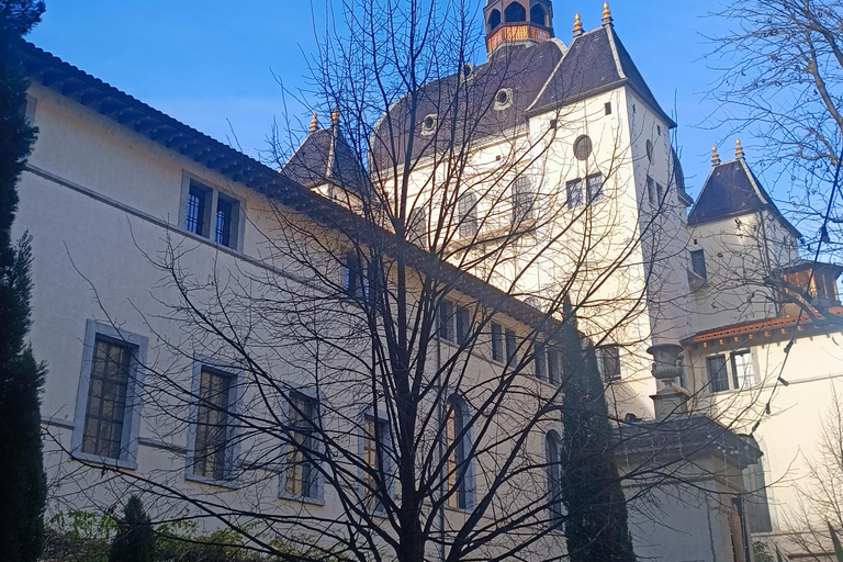 Lyon: Guided tour of the Grand Hôtel-Dieu Lyon: Guided Tour of the Grand Hôtel-Dieu