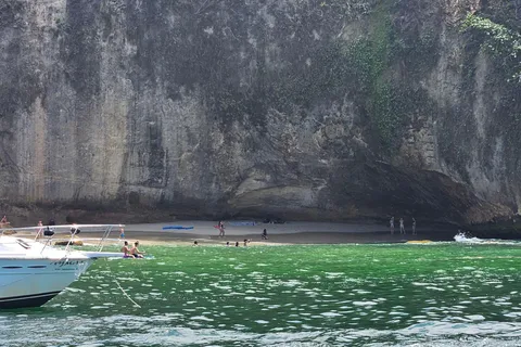 Le tour en bateau amusant : Pêche, Tubing, Observation des baleines, Plongée en apnée