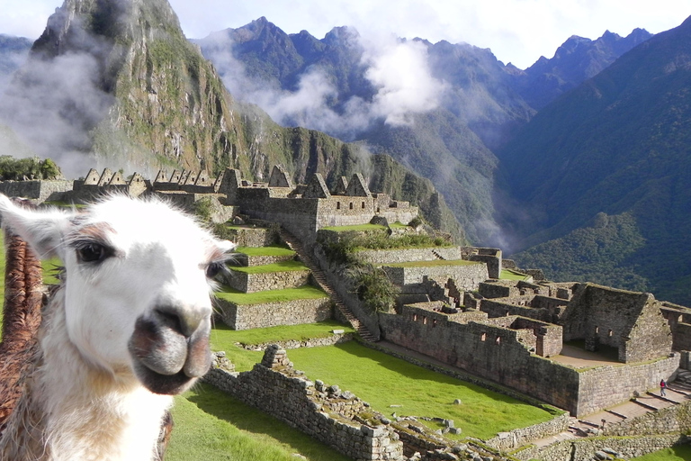 From Cusco: Machu Picchu Tour 1-Day by Train + Almuerzo Cusco: Machu Picchu Tour 1-Day by Train + Almuerzo