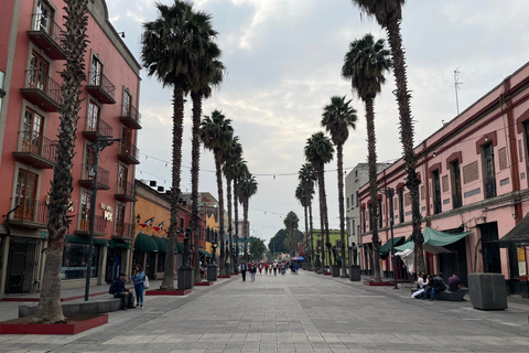 CDMX : Garibaldi Copa Show