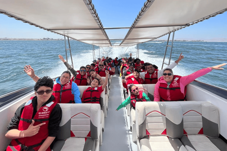 Paracas: Ballestas Islands Morning Boat Tour
