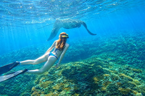 From Bali: Nusa Penida Manta Snorkeling with Guide & GoPro