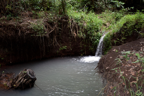 Moshi: Rau-Wald (Wanderung oder Radtour)Wandern im Rau-Wald